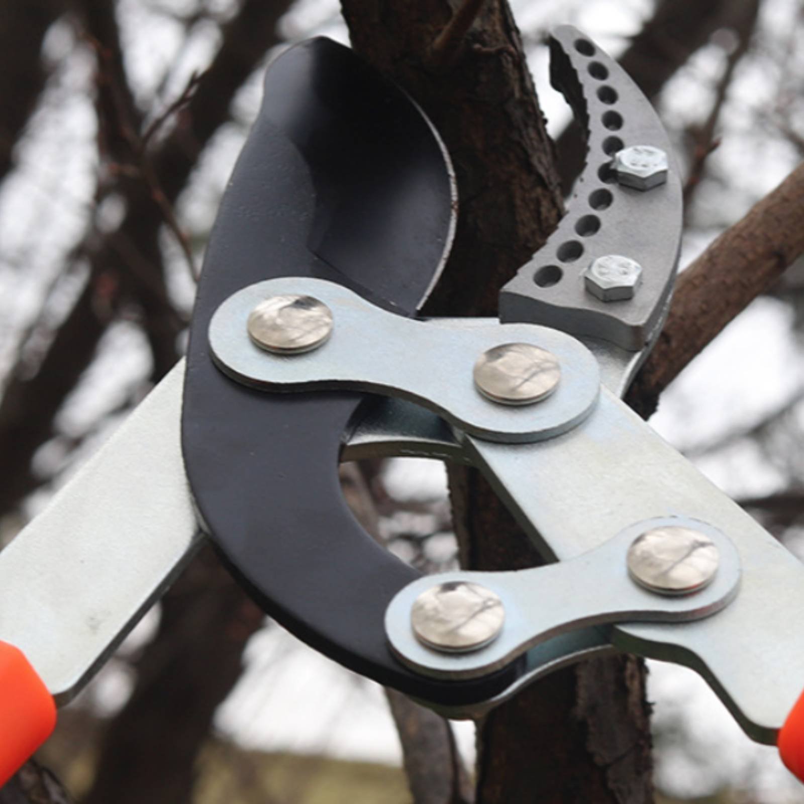 Podadoras telescópicas para ra - Garden Tools reseña y precio